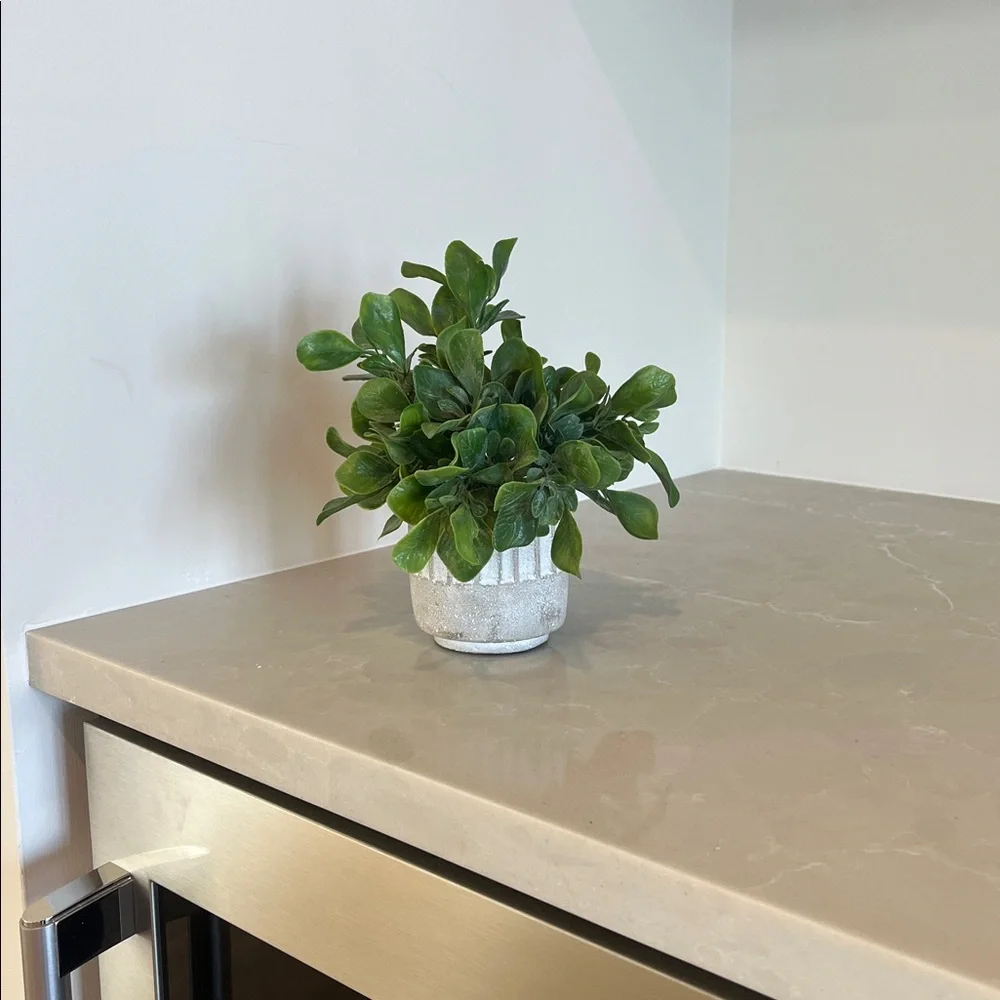 Faux Jade Plant in Stone Pot Home Decor - Picture 3 of 6